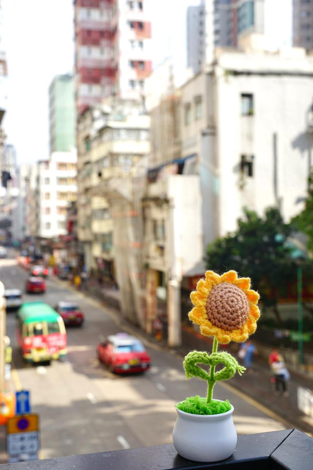 Waveflo 浪花青旅
